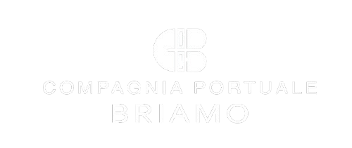 LOGO BRIAMO SRL